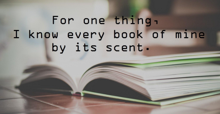 Book Lover Captions