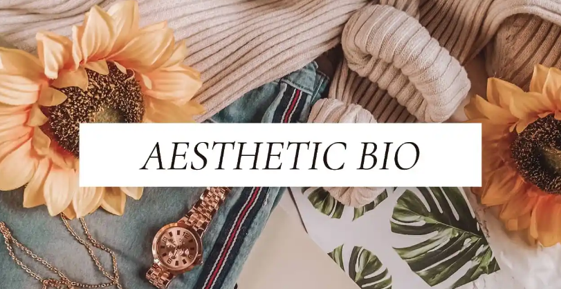 Aesthetic Bio For Instagram