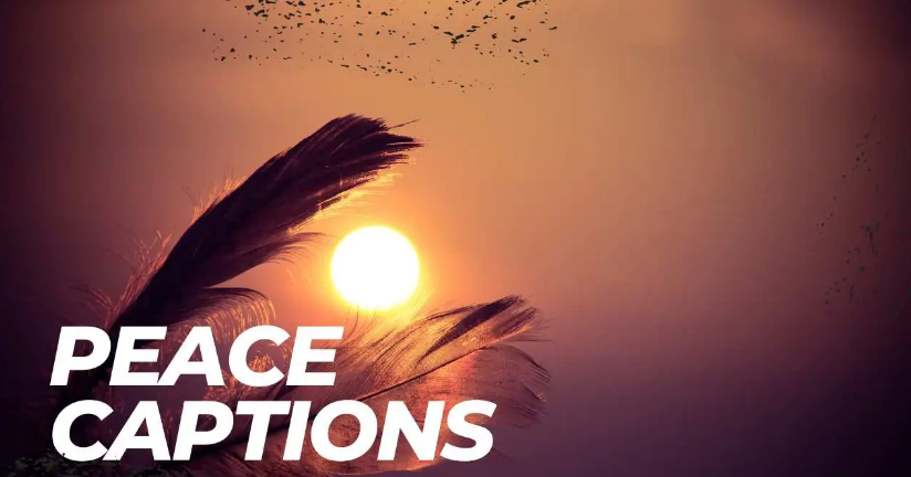 Peace Quotes