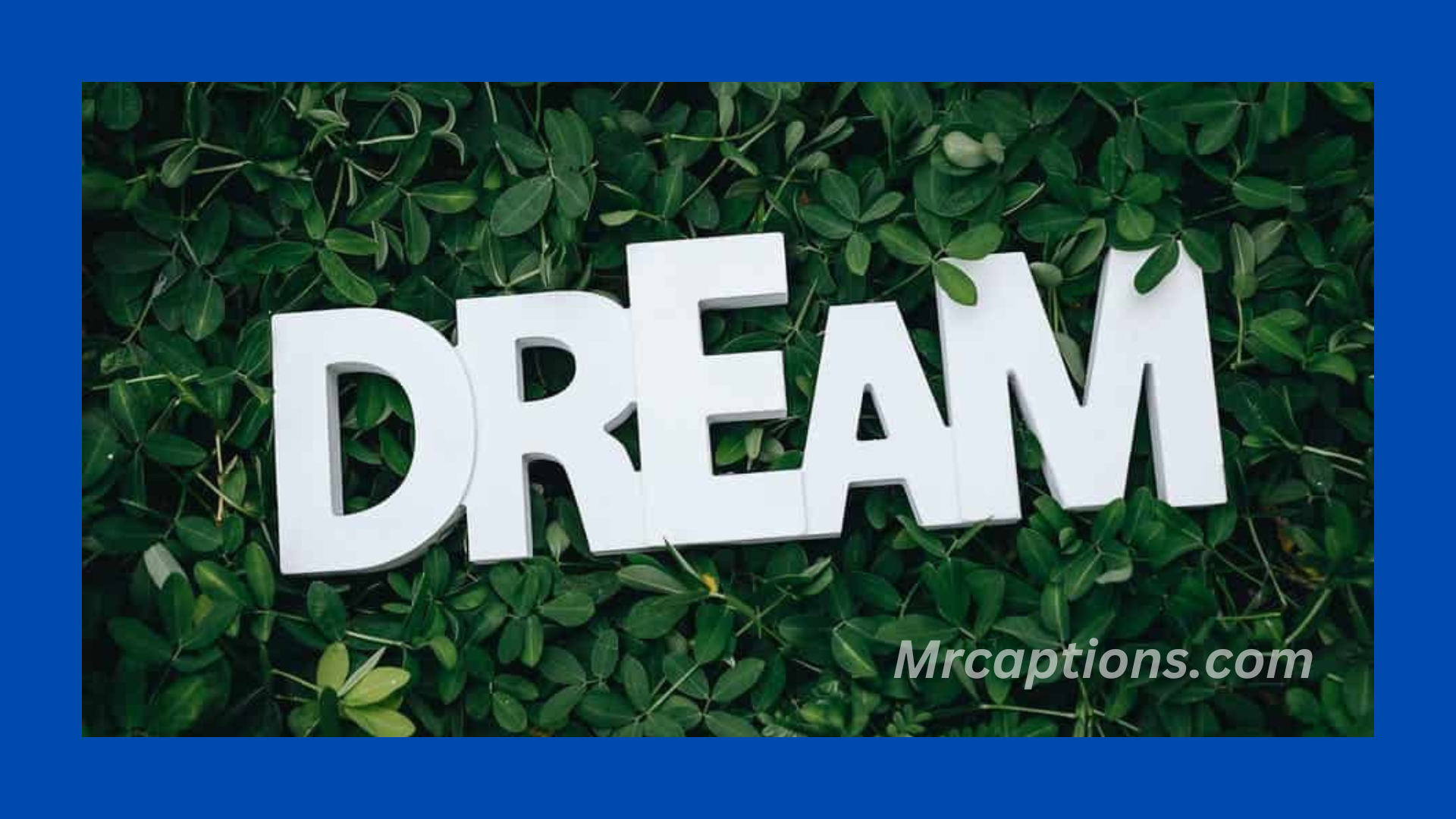 Dreamy Captions & Quotes