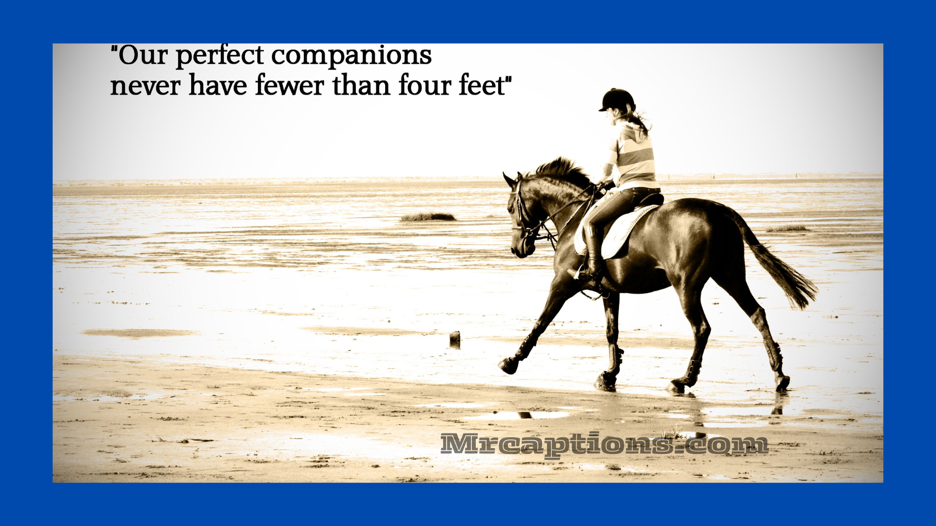 Horse Captions