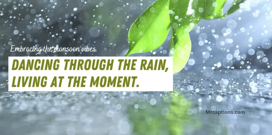 Monsoon Captions